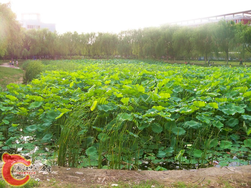 100_7473_副本.jpg