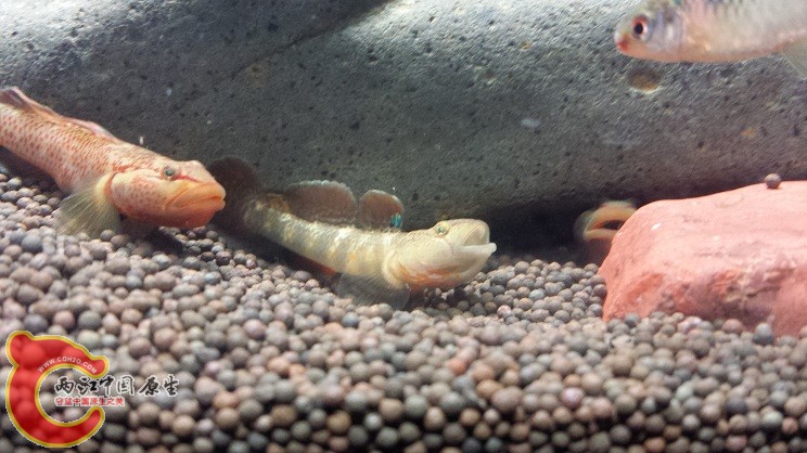 20150215_155145.jpg