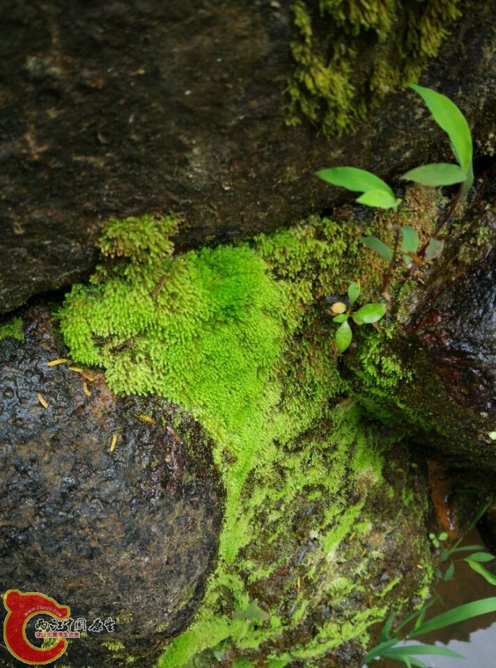 AD6510D2509F97C581C0B91F565B7DFB.jpg