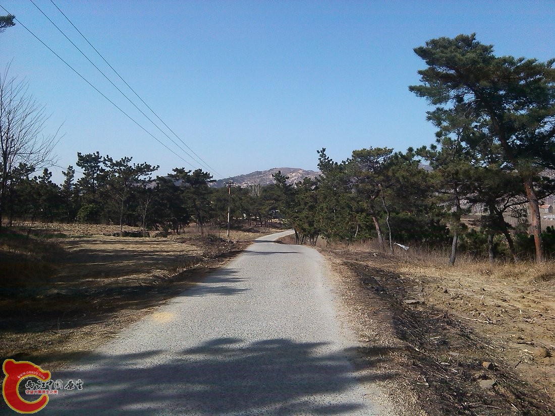 YP20150303144354.jpeg