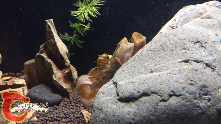 20150303_235232.jpg