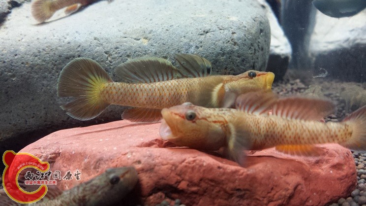 20150303_235541.jpg