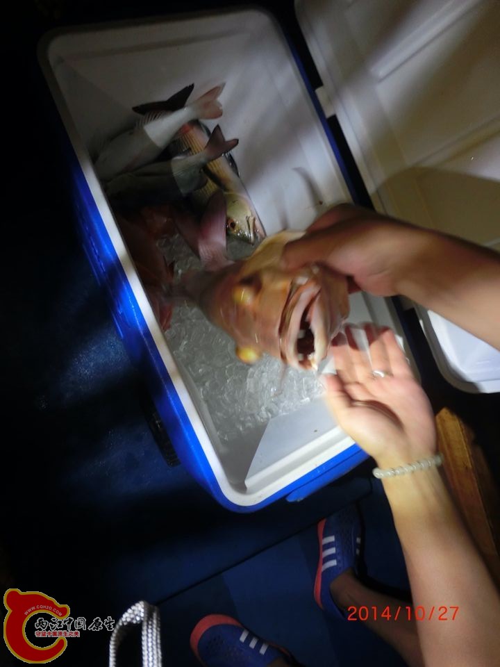 QQ图片20150305093925.jpg