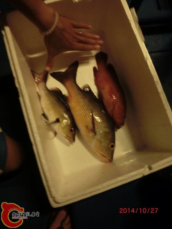 QQ图片20150305094002.jpg