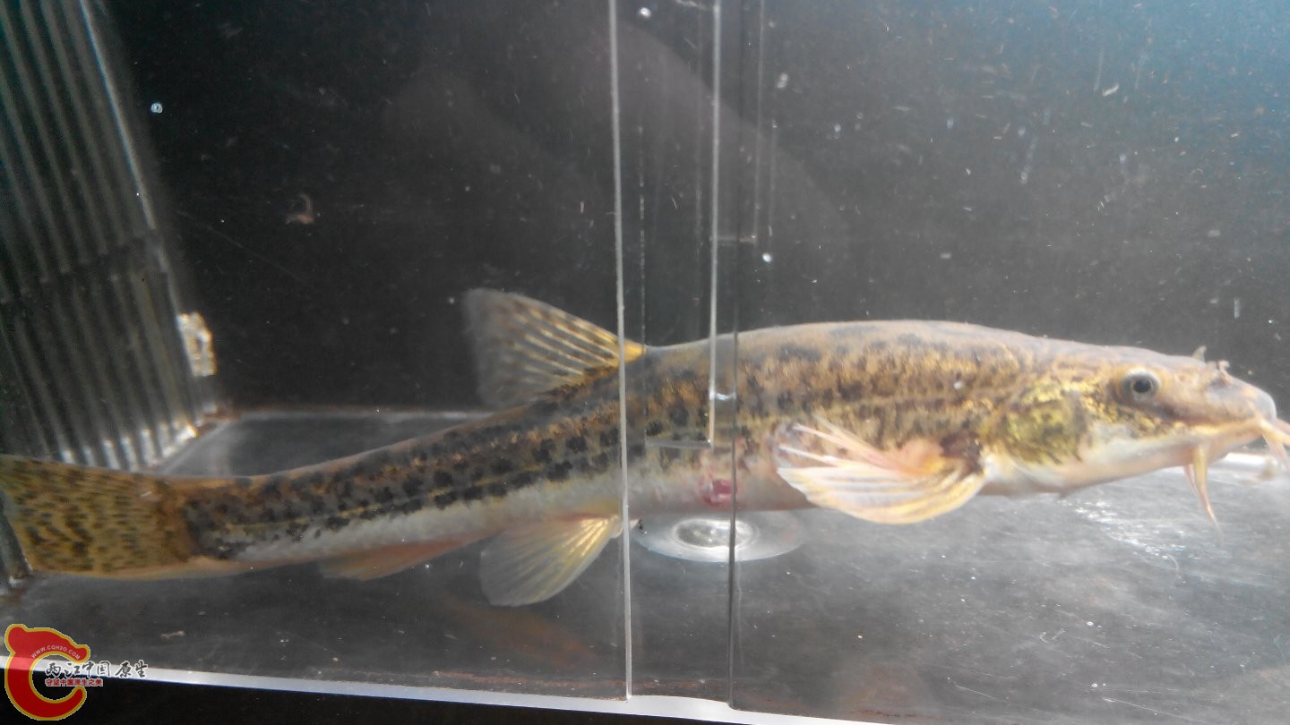 2015315001644.jpg