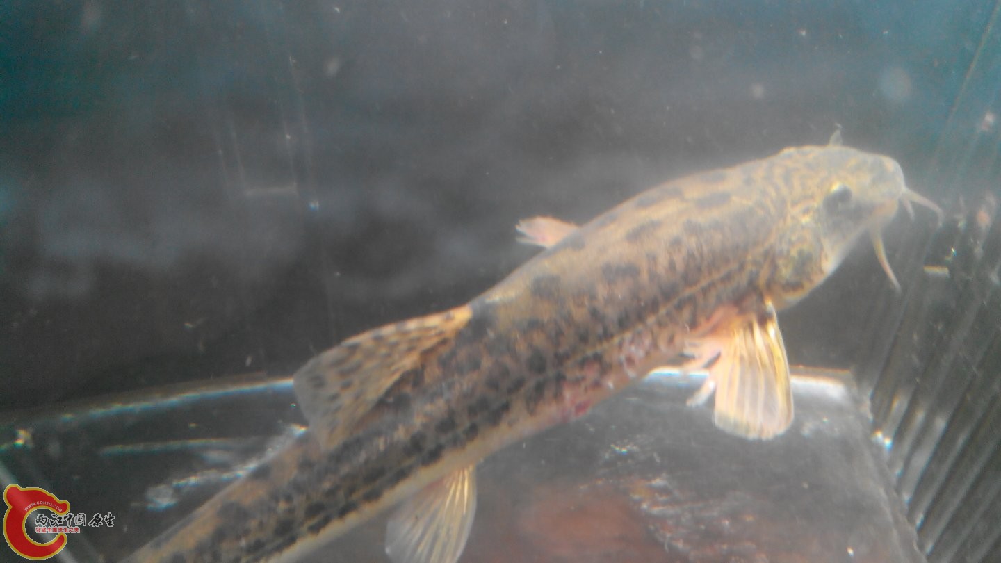 2015315001717.jpg