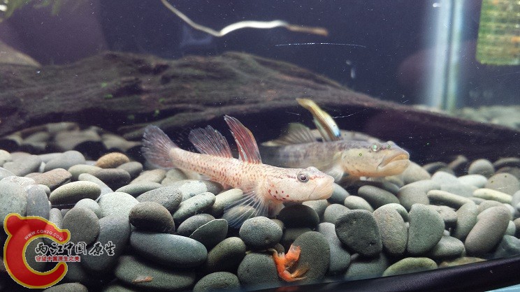 20150314_222655.jpg