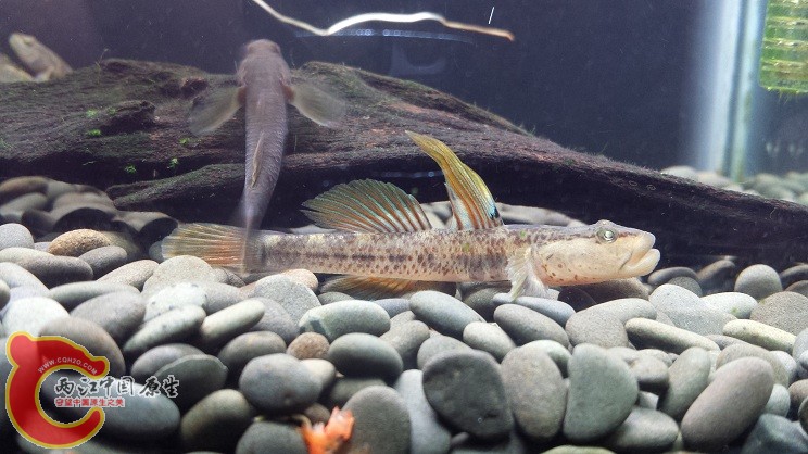 20150314_222724.jpg
