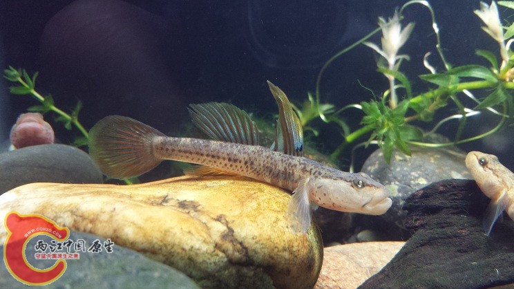 20150314_222933.jpg