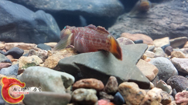 20150316_170835.jpg