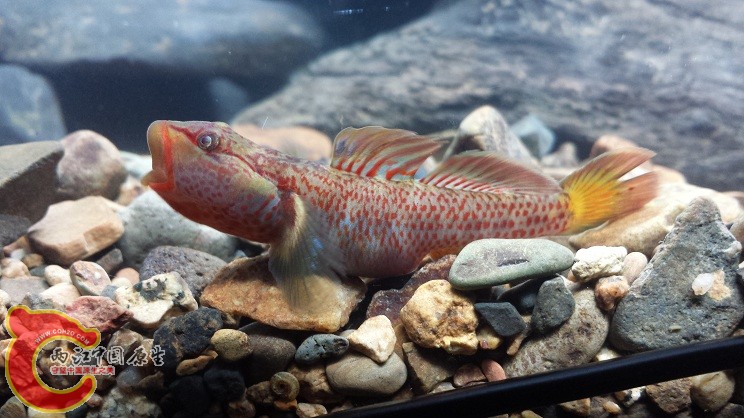 20150316_182457.jpg