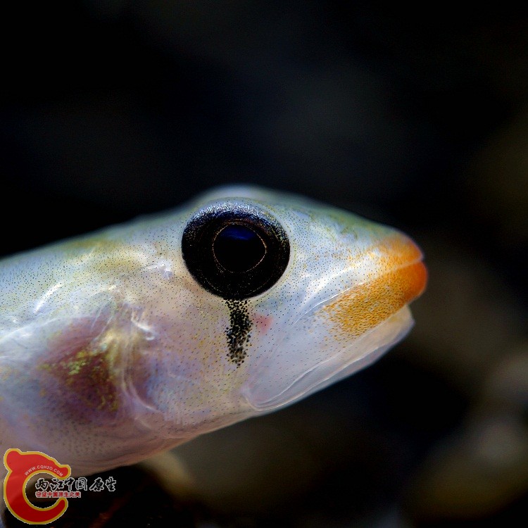 DSC07884_副本as.jpg