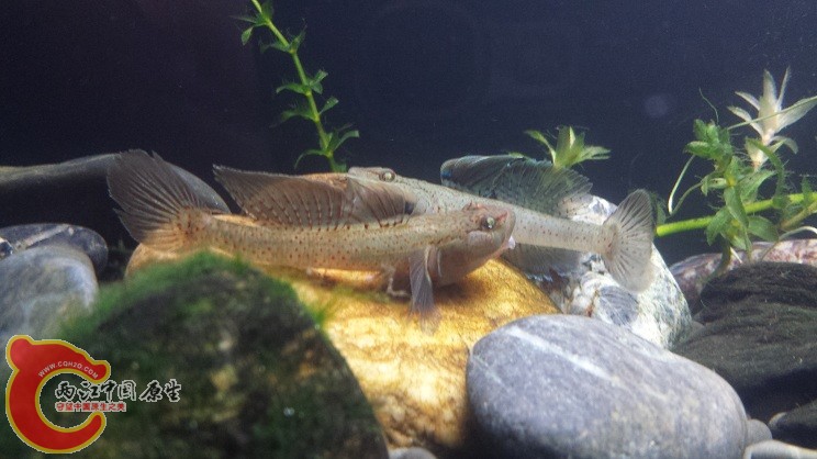 20150327_215458.jpg