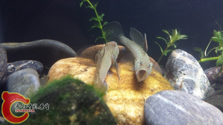 20150327_215528.jpg