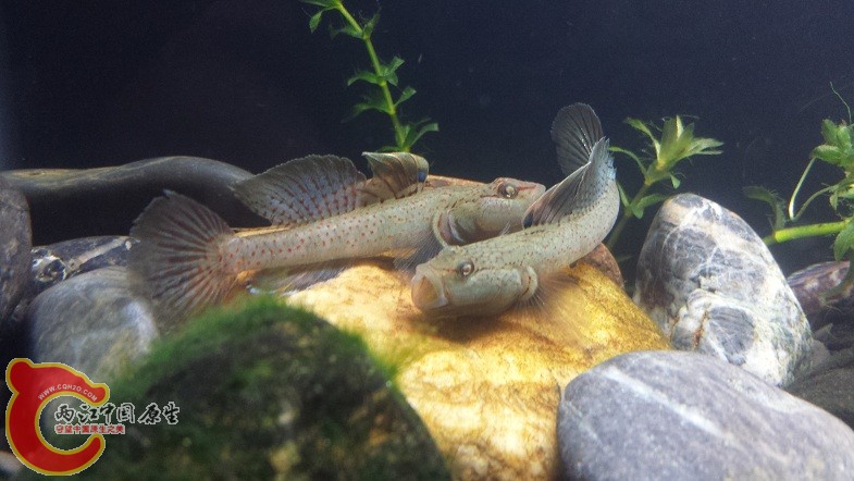 20150327_215531.jpg