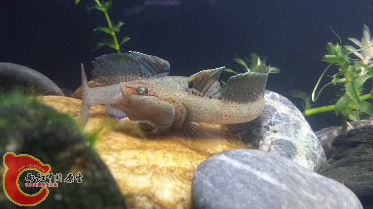 20150327_215624.jpg