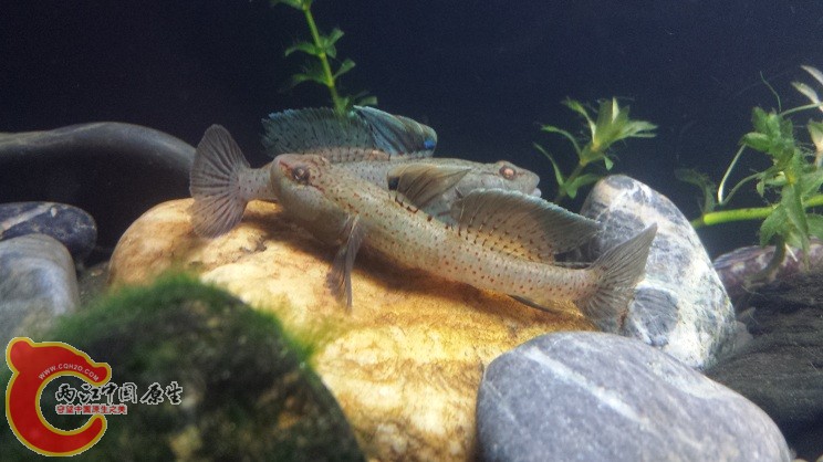 20150327_215639.jpg