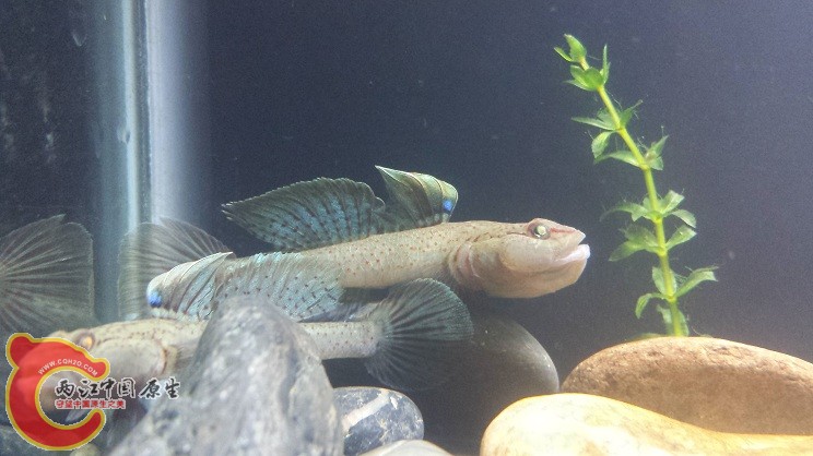 20150327_215859.jpg