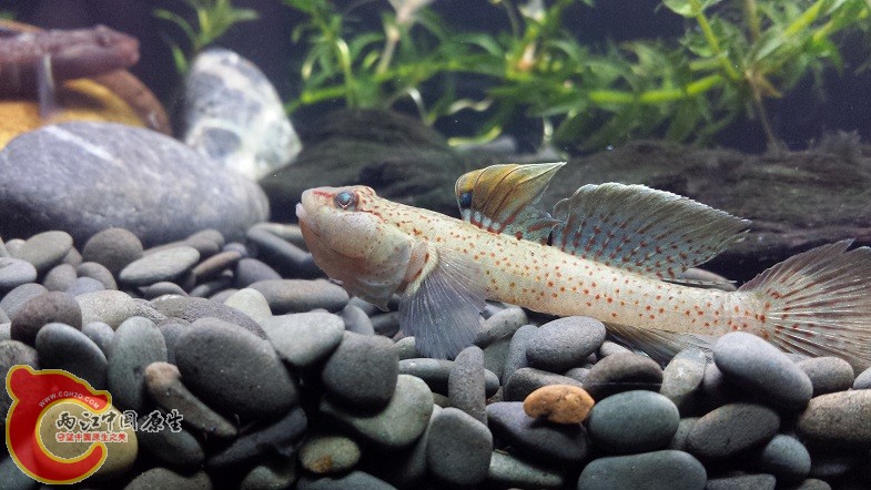 20150327_235614.jpg