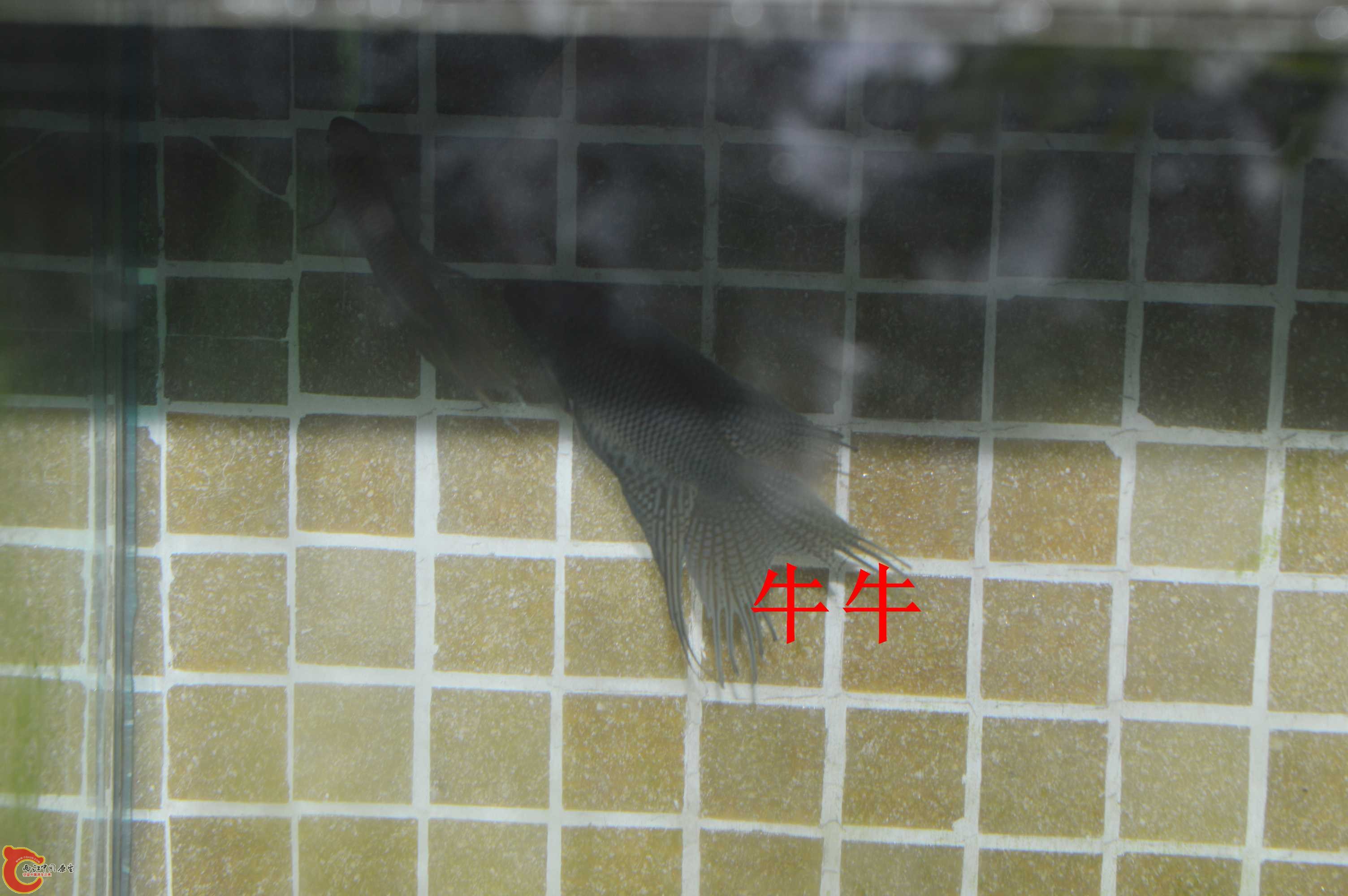 DSC_0014.jpg