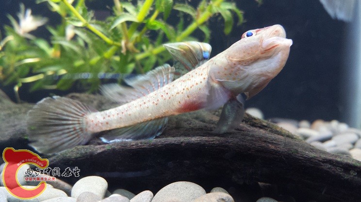 20150329_205004.jpg