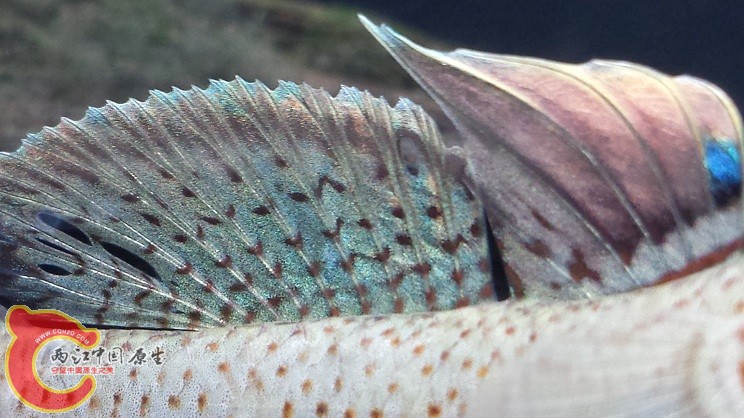 20150328_191738.jpg