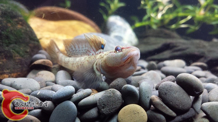 20150329_155244.jpg