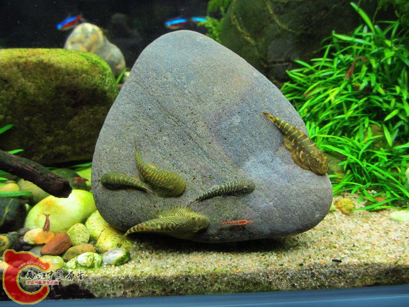 IMG_9052_缩小大小.jpg
