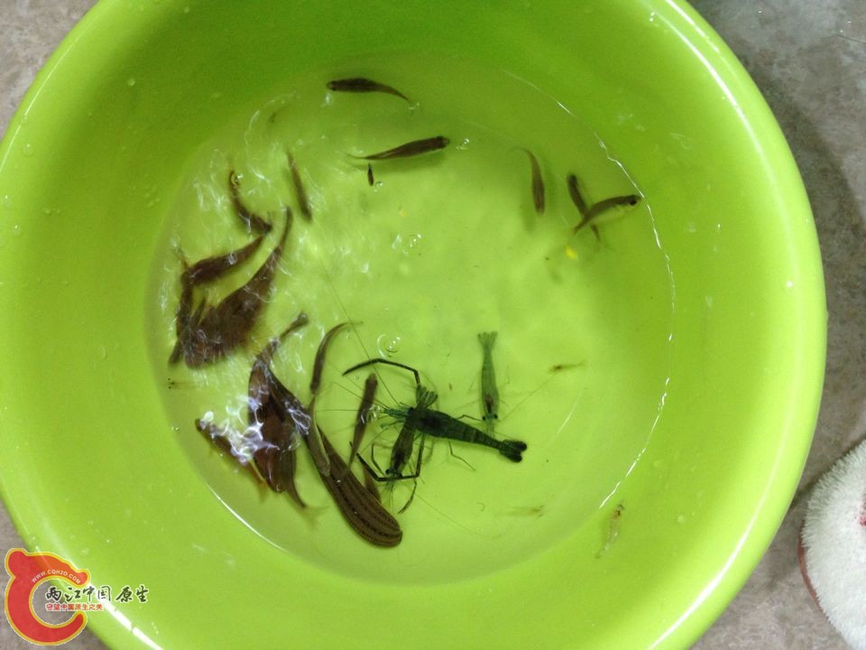 QQ图片20150415102525.jpg