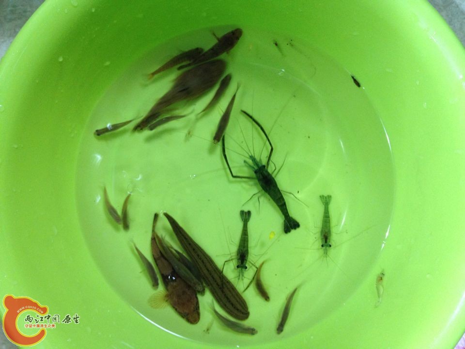 QQ图片20150415102536.jpg