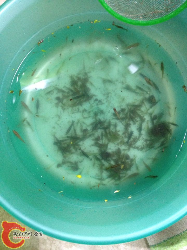 QQ图片20150415102541.jpg