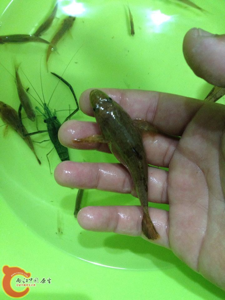 QQ图片20150415102544.jpg