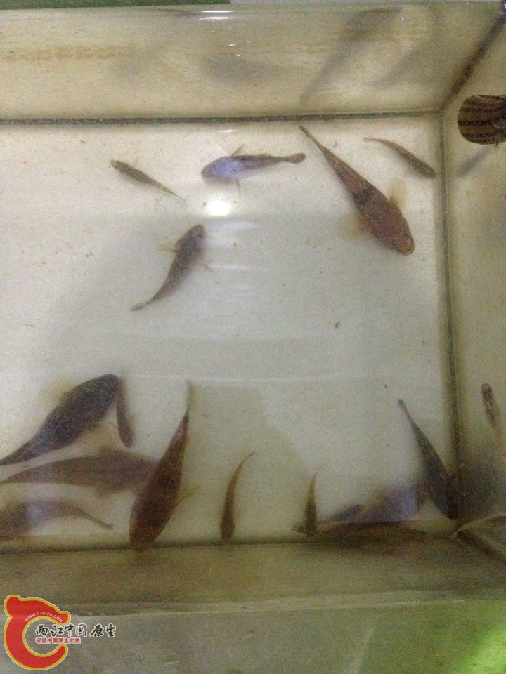 QQ图片20150415102608.jpg