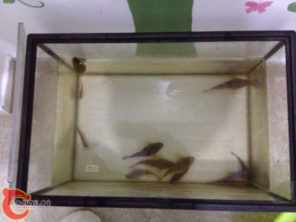 QQ图片20150415102604.jpg