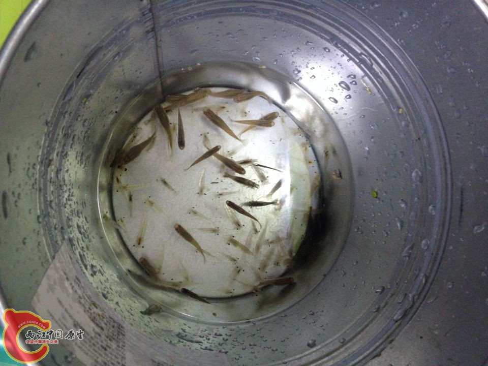 QQ图片20150415102611.jpg