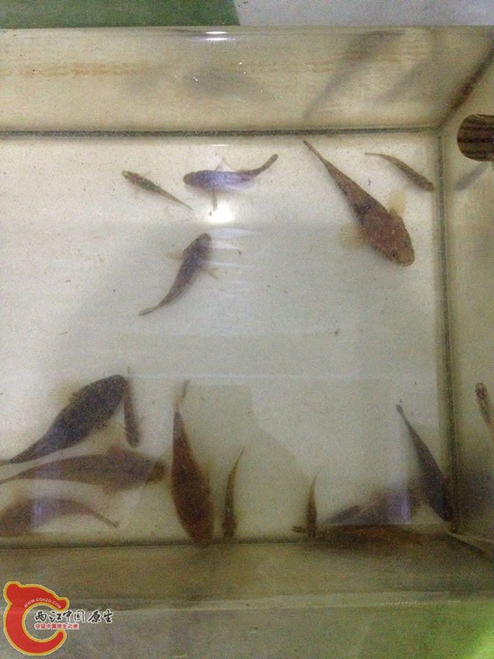QQ图片20150415102614.jpg