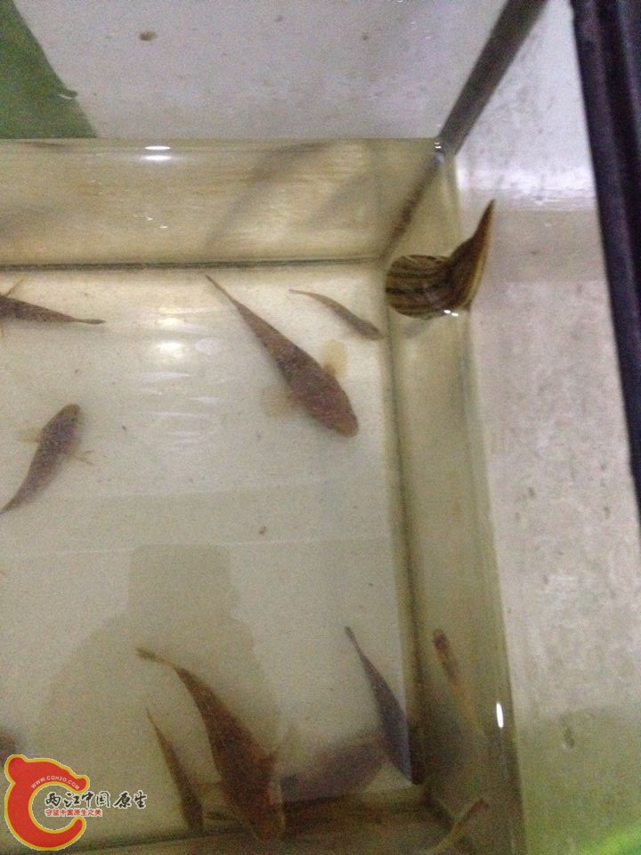 QQ图片20150415102618.jpg