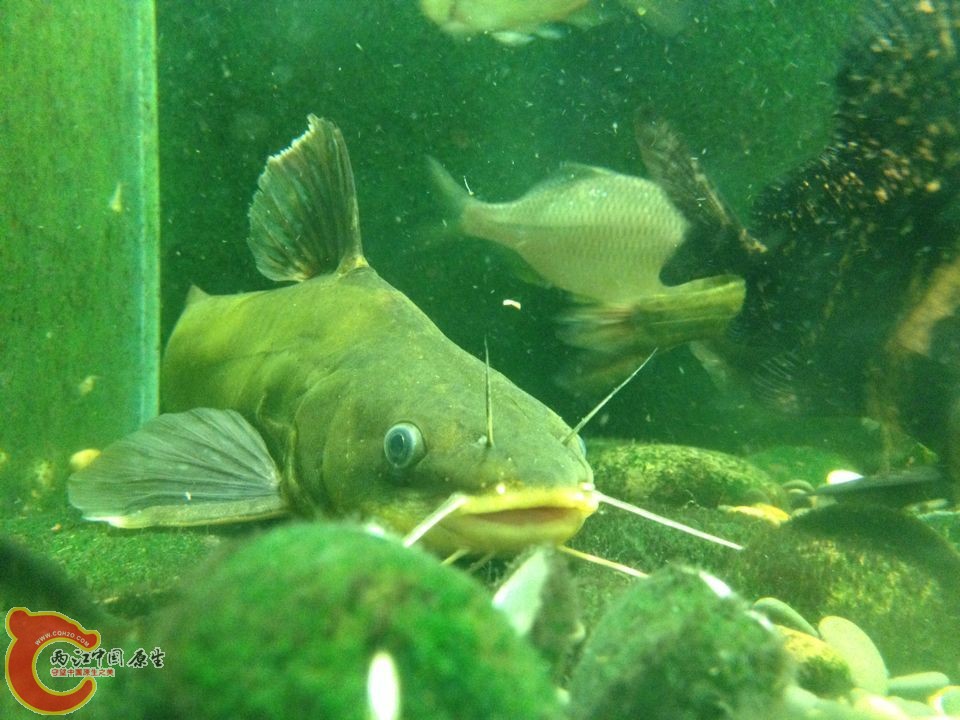 QQ图片20150415103054.jpg