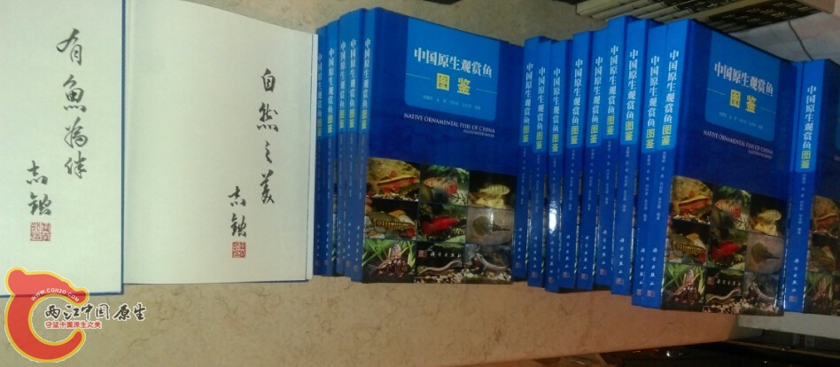 QQ截图20150421012700.jpg