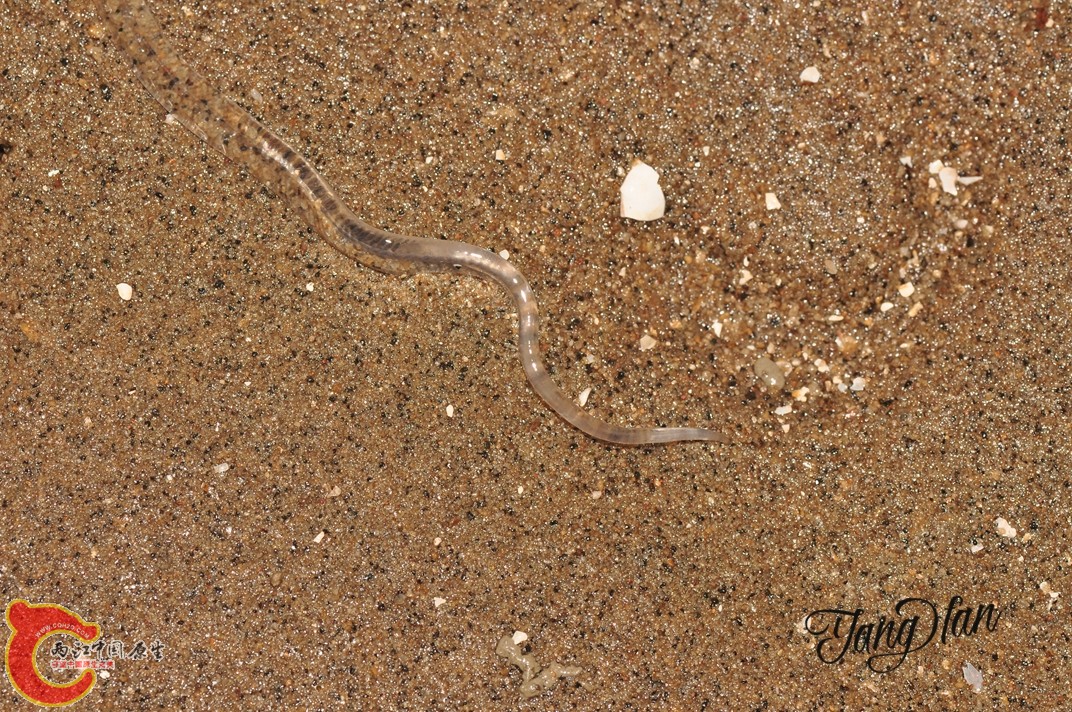 DSC_0611.jpg