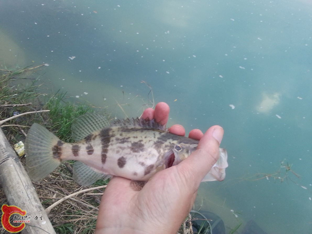 20140927_181819.jpg