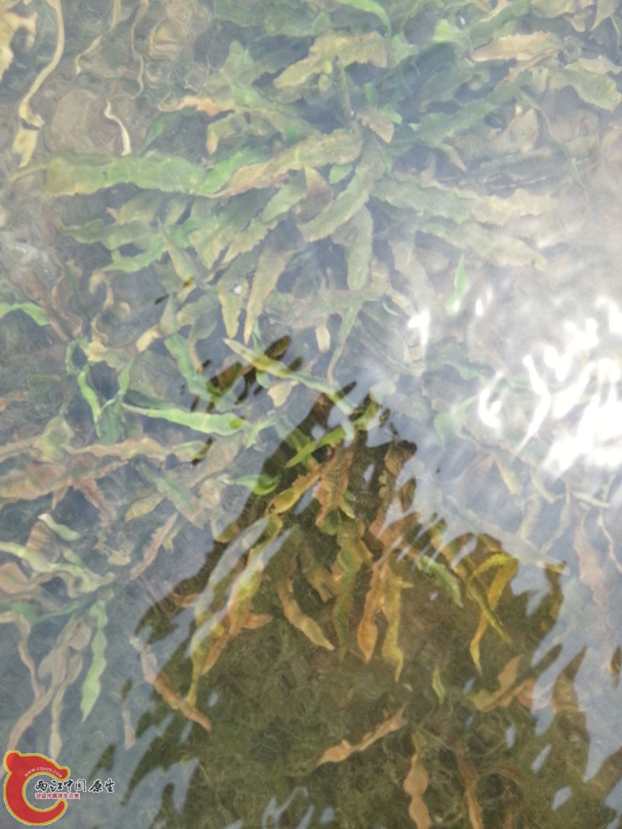 20150402_120408.jpg