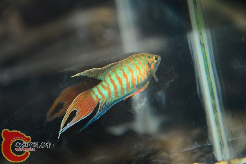 照片 314.jpg