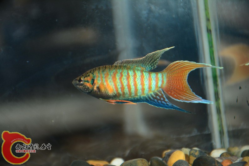 照片 325.jpg