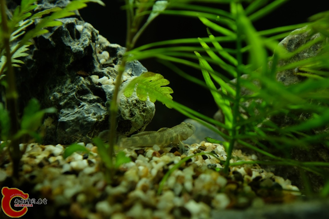 DSCF1725.JPG