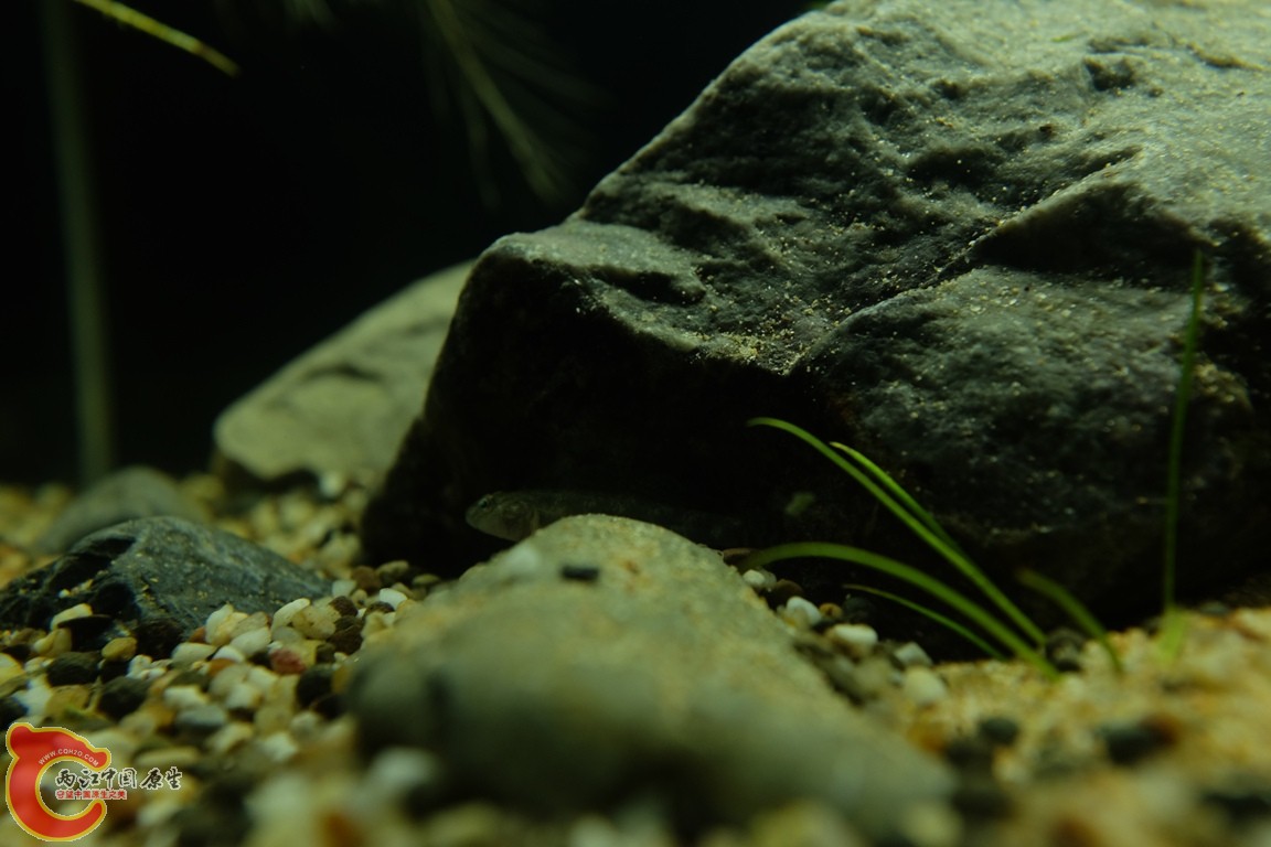 DSCF1723.JPG