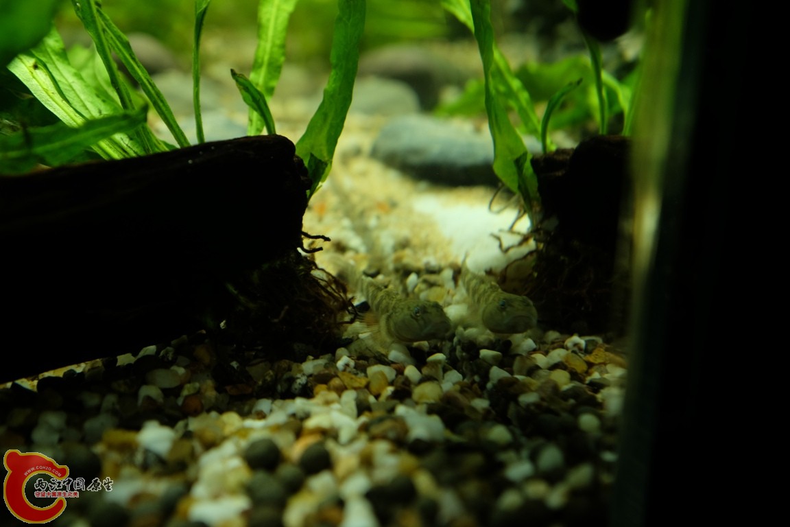 DSCF1720.JPG