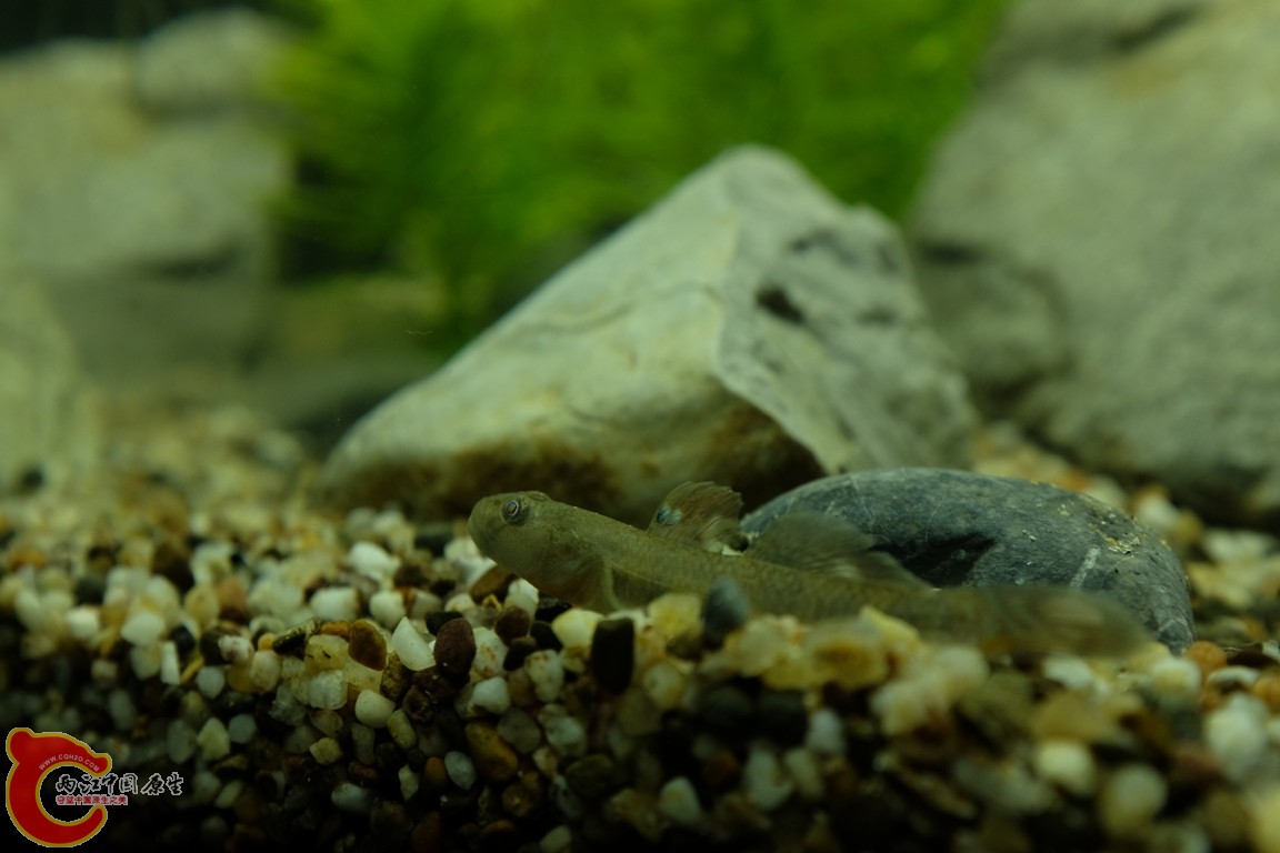 DSCF1719.JPG