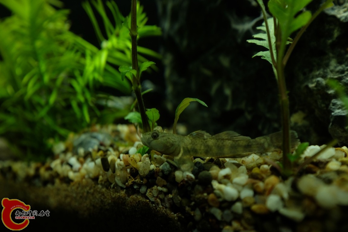 DSCF1718.JPG