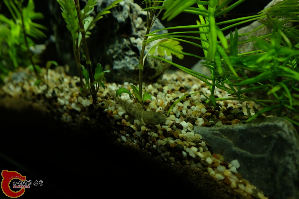 DSCF1714.JPG